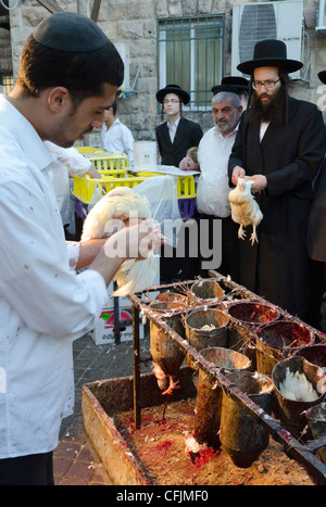 Kaparot rituel dans Mea Shearim quartier, Jérusalem, Israël, Moyen Orient Banque D'Images