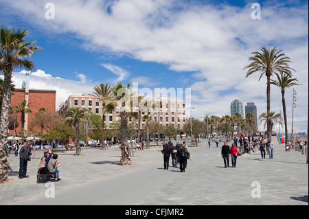 La Barceloneta, Barcelone, Catalogne, Espagne, Europe Banque D'Images