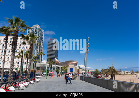 La Barceloneta, Barcelone, Catalogne, Espagne, Europe Banque D'Images