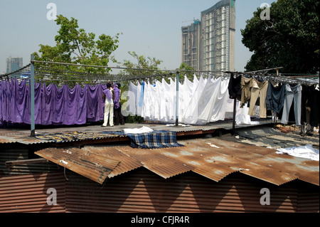 Blanchisseurs (dhobi wallah), blanchisserie tri par couleur sur les toits de tôle ondulée, Mahalaxmi dhobi ghats, Mumbai, Inde, Asie Banque D'Images