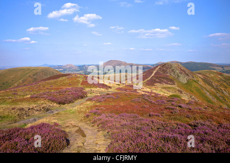 Vue sur Caradoc, Lawley et le Wrekin du Long Mynd, Church Stretton Hills, Shropshire, Angleterre, Royaume-Uni, Europe Banque D'Images