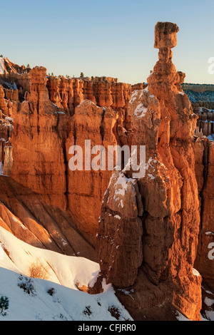 Première réfléchissant la lumière illumine les cheminées, dont le marteau de Thor dans l'Utah Bryce Canyon National Park. Banque D'Images