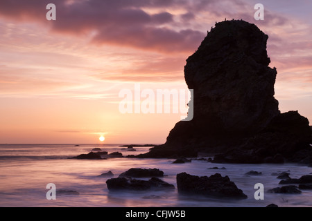 Periclase et magnésiennes mer calcaire pile dans Marsden Bay près de South Shields et Whitburn, South Tyneside, Angleterre Banque D'Images