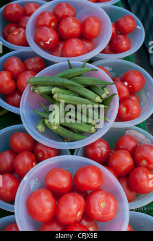 Courgettes et tomates Banque D'Images