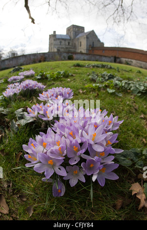 L'Hôpital de Saint Croix près de Winchester, Hampshire Banque D'Images