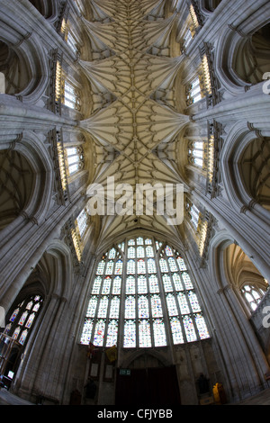 L'intérieur et le ventilateur au plafond voûté de la cathédrale de Winchester à Winchester, Hampshire Banque D'Images