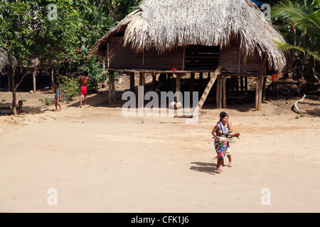 Les Indiens Embera House dans le village d'Embera Puru, le parc national de Chagres, Panama Banque D'Images