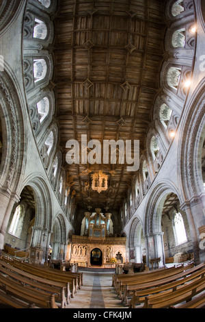 L'intérieur de la cathédrale de St David's dans la ville de St David's, Pembrokeshire, Pays de Galles Banque D'Images