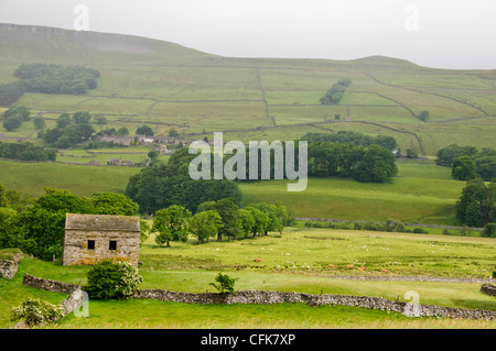 Le Yorkshire Dales National Park,vue,derrière West Burton Village, Wensleydale, North Yorkshire,GT,UK Grande-Bretagne Banque D'Images