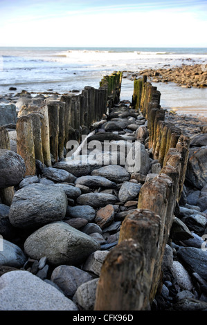 Un brise-lames ou de l'aine sur la plage rocheuse à Lynton, Devon UK Banque D'Images