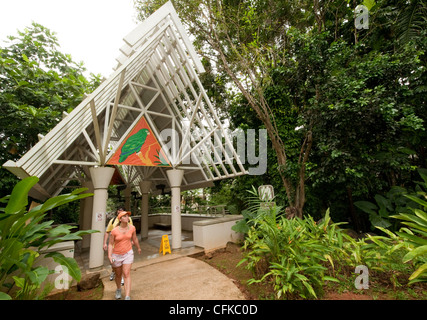 Un perroquet vert sur un panneau à l'entrée de la Forêt Nationale de El Yunque, Porto Rico Banque D'Images