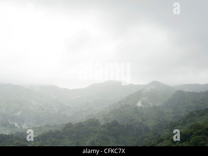 Misty une vue sur le feuillage humide pulpeuse du haut de la Forêt Nationale de El Yunque, Porto Rico Banque D'Images
