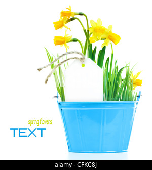 Pot de fleurs de narcisses avec carte de souhaits, l'usine de source fraîche, Pâques et la fête des Mères, cadeau vase de fleurs jaunes Banque D'Images