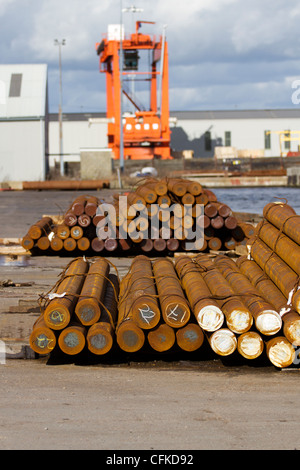 Associated British Ports Ports Les Ports et docks   à Goole  A B P (Goole), d'Amérique du Humberside, Royaume-Uni Banque D'Images