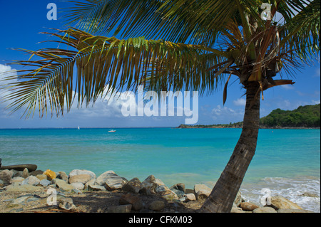 Friar's bay à Saint Martin ou de Saint Martin dans les Caraïbes Banque D'Images