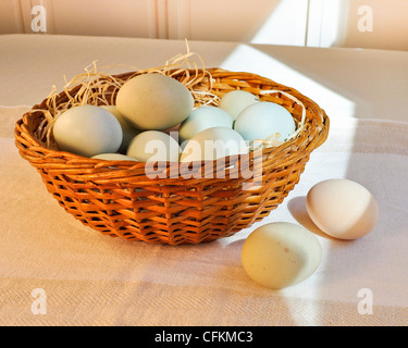 Un bol d'œufs de poule de couleur pastel dans un panier de Pâques sur lin tissé. Banque D'Images