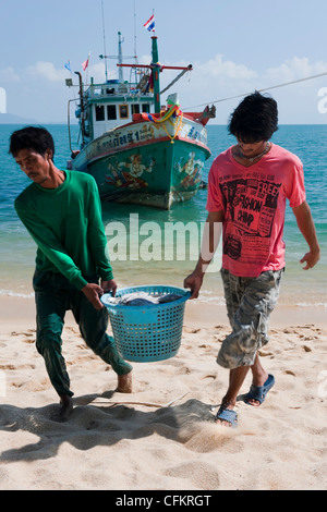 Les pêcheurs de poissons de déchargement des bateaux de pêche colorés sur une plage de Koh Samui, Thaïlande Banque D'Images