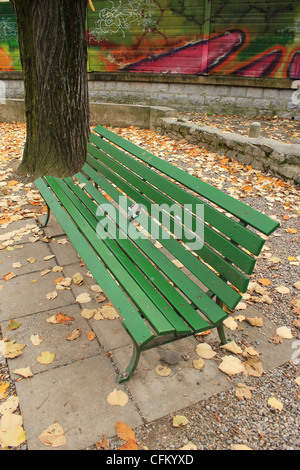 Banc de bois vert dans un parc à côté d'un tronc et graffities par autunm météo avec beaucoup de feuilles jaunes sur le terrain Banque D'Images