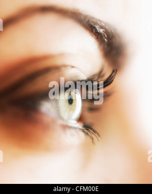 Studio close-up of woman's eye Banque D'Images