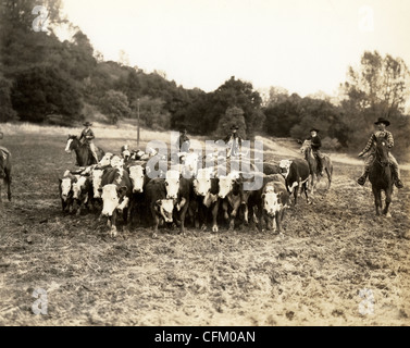 Cowboys & Cattle Drive Banque D'Images