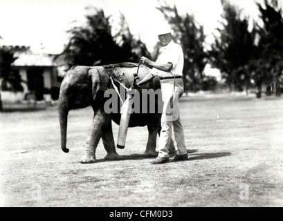 Bébé éléphant Caddying pour un golfeur Banque D'Images