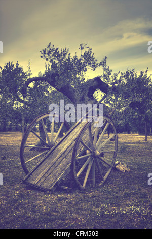 Ancien panier de paille dans une oliveraie Banque D'Images