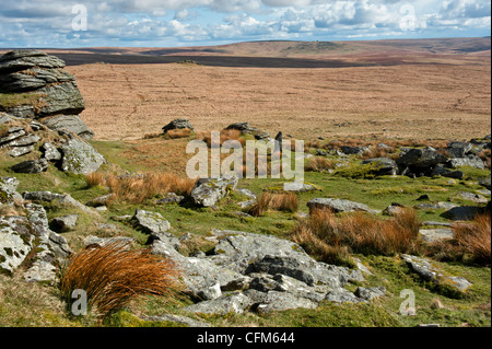 Paysage de Dartmoor montrant beaucoup de liens Tor, l'augmentation de l'acide et l'herbe de chèvre Dunna views Banque D'Images