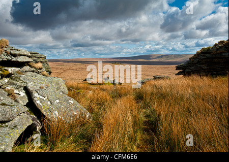 Paysage de Dartmoor montrant beaucoup de liens Tor, l'augmentation de l'acide et l'herbe de chèvre Dunna views Banque D'Images