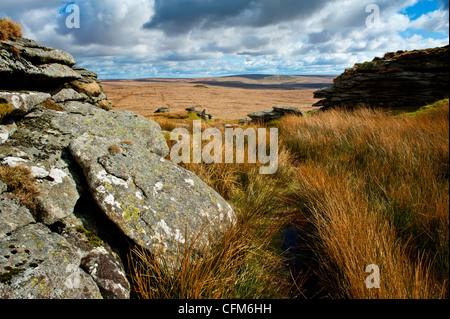 Paysage de Dartmoor montrant beaucoup de liens Tor, l'augmentation de l'acide et l'herbe de chèvre Dunna views Banque D'Images