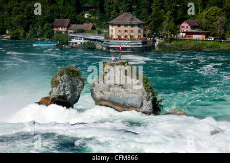 Chutes du Rhin, Schaffhouse, Suisse, Europe Banque D'Images