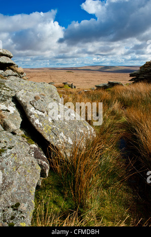 Paysage de Dartmoor montrant beaucoup de liens Tor, l'augmentation de l'acide et l'herbe de chèvre Dunna views Banque D'Images