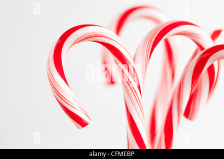 Des cannes de bonbon rouge et blanc, studio shot Banque D'Images