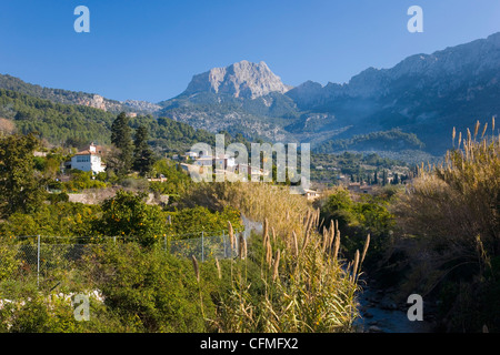 Voir jusqu'à la vallée fertile Puig Major, le plus haut sommet de l'île, Puerto Alcudia, Majorque, Iles Baléares, Espagne, Europe Banque D'Images