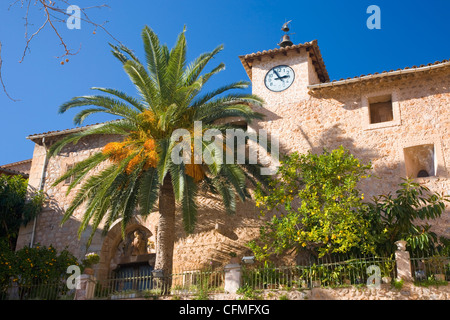 Clocher de l'église et de palmiers donnant sur la place du village, Fornalutx, près de Soller, Majorque, Iles Baléares, Espagne, Europe Banque D'Images