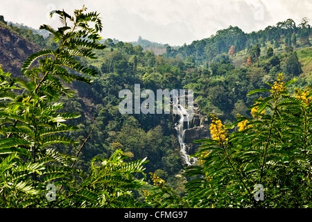 Peu de Rawana (Ravana) Falls, Ella, Sri Lanka, Asie Banque D'Images