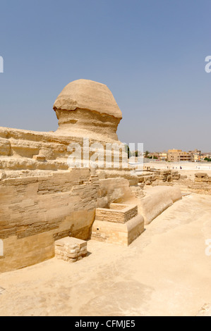 Gizeh. Le Caire. L'Égypte. Vue sur les 24 mètres de haut grand Sphinx coupé d'rock unique qui monte la garde à l'approche de la Giza Banque D'Images