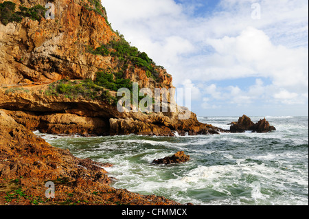 Les Têtes à Knysna sur la Garden Route, Western Cape, Afrique du Sud Banque D'Images