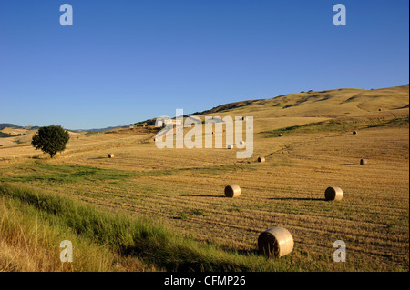 Italie, Basilicate, campagne, vallée du Sauro Banque D'Images