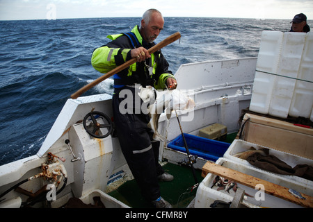 Les pêcheurs lors d'une course en Norvège en 2010. Le poisson. Sportfiskare Norge Banque D'Images