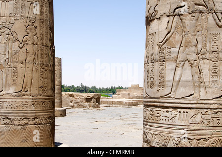 Kom Ombo. L'Égypte. L'Afrique. Vue de la colonnes hautement décoré qui conservent encore des traces claires de la peinture dans le soulagement Banque D'Images