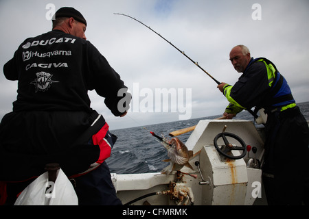Les pêcheurs lors d'une course en Norvège en 2010. Le poisson. Sportfiskare Norge Banque D'Images