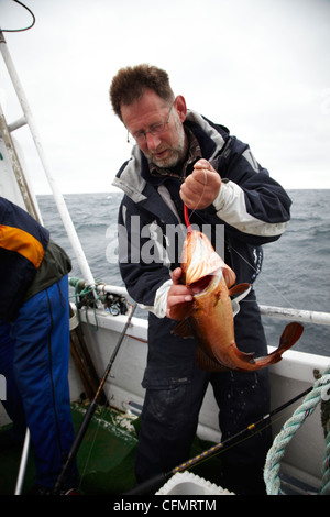 Les pêcheurs lors d'une course en Norvège en 2010. Le poisson. Sportfiskare morue Norge Banque D'Images