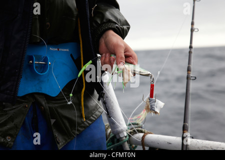 Les pêcheurs lors d'une course en Norvège en 2010. Sportfiskare Norge Banque D'Images