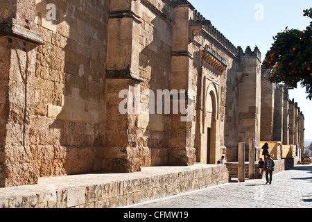 Grande Mosquée de Cordoue, Cordova, Mesquita, Mezquita, Banque D'Images