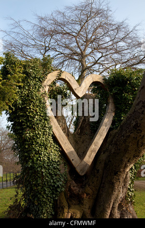 En Bedale Love Heart, symbole romantique, forme, placé en vieil arbre dans le parc, Hambleton, North Yorkshire, UK, Wenselydale Banque D'Images