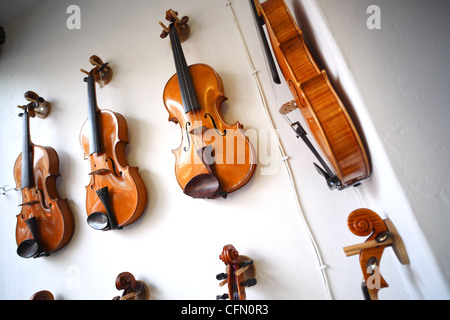 Violons en vente dans un magasin de musique. Banque D'Images