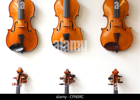 Violons en vente dans un magasin de musique. Banque D'Images