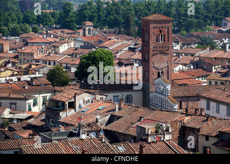 Vue de la Cathédrale, Lucca, Toscane, Italie, Europe Banque D'Images