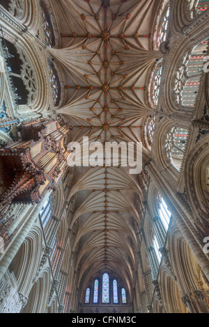 Cathédrale d'Ely, Ely, Angleterre Banque D'Images