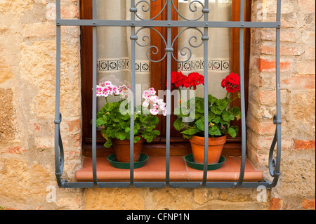 Une fenêtre dans le village de Monticchiello. Il y a des barres sur cette fenêtre italienne et deux géraniums en pots sur le sol carrelé de la fenêtre. Banque D'Images